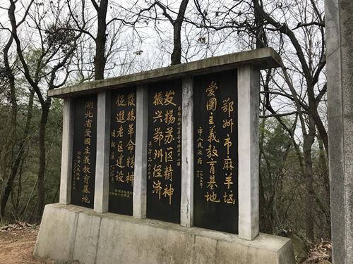 QQ图片20190311141310_副本.jpg